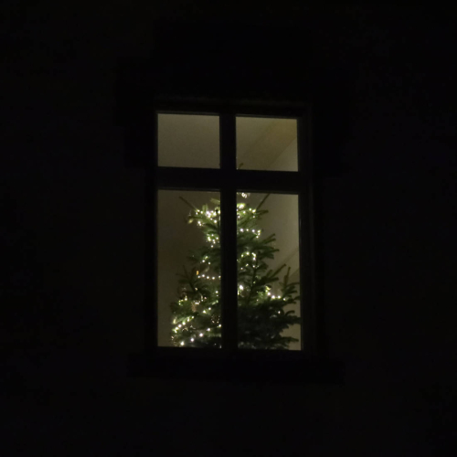 Mit Lichterkette geschmückter Weihnachtsbaum im Raum.
