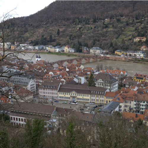 Blick vom Schloss auf die alte Brücke, der Himmel war bedeckt.